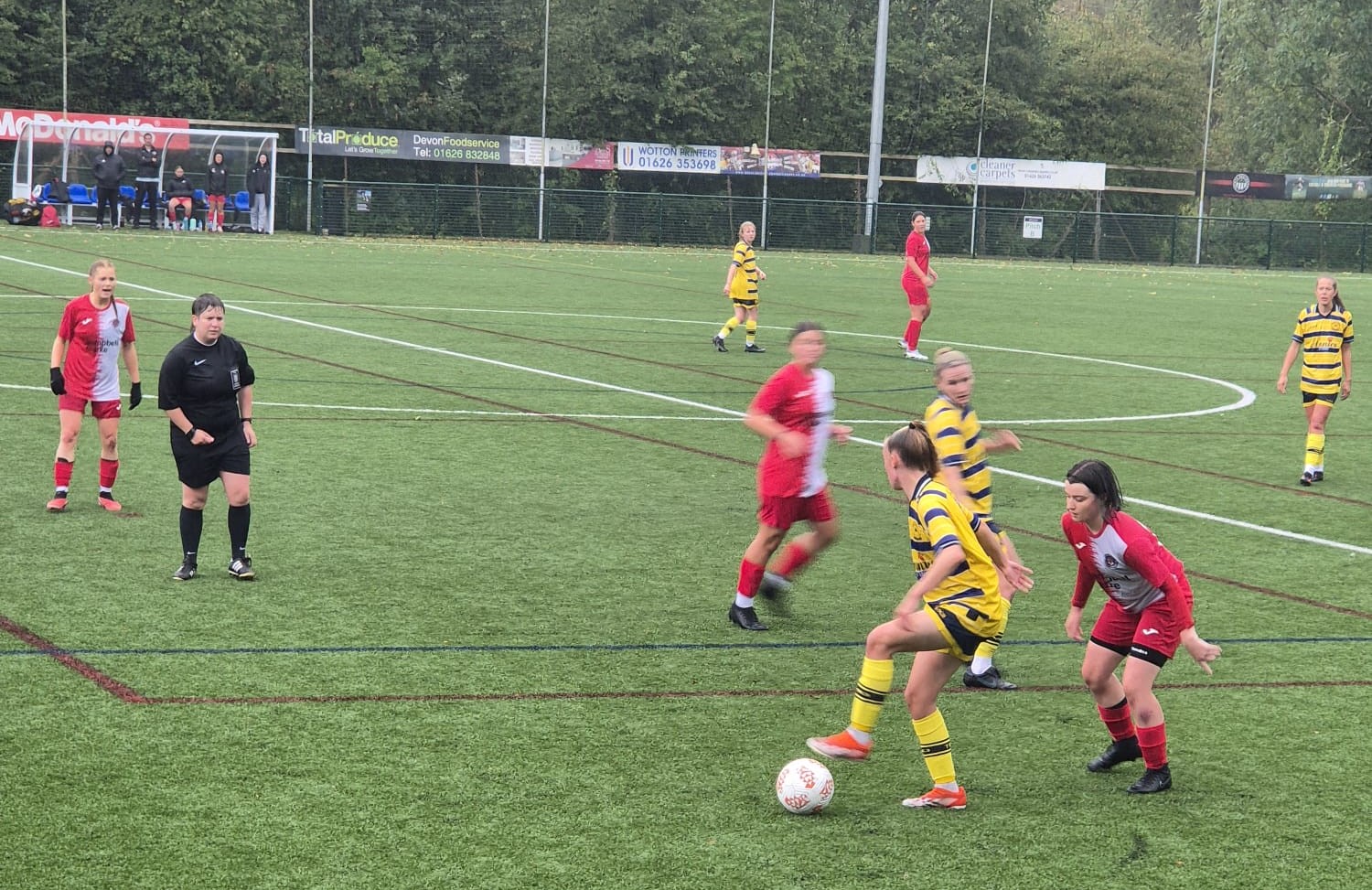 Torquay United Women v Poole Town Ladies