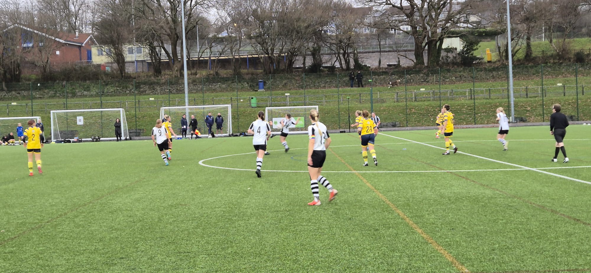 Torquay United Women v Sherborne Town Ladies