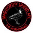 bradworthy fc crest