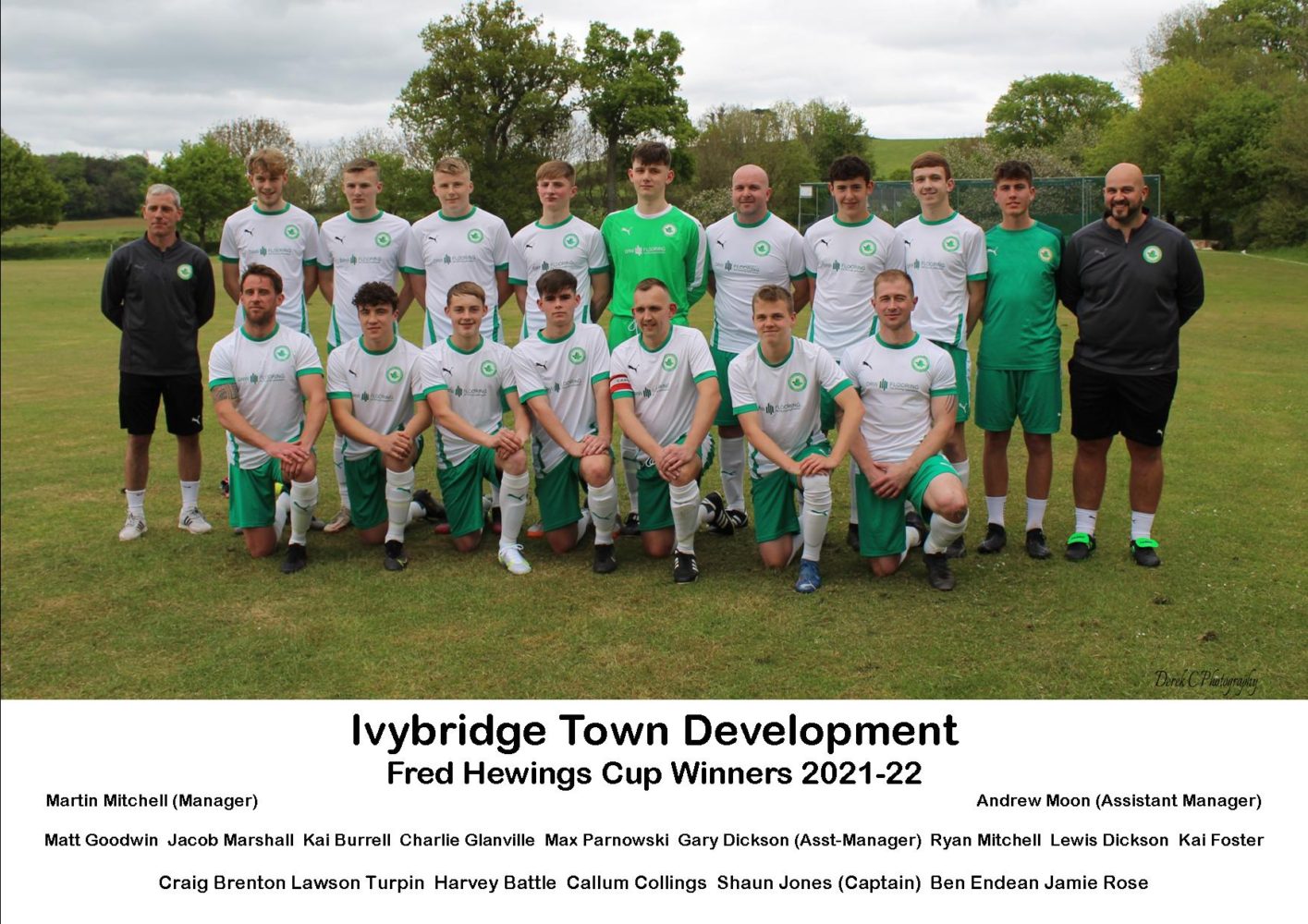 ivybridge town development