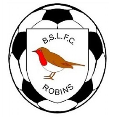 budleigh salterton fc