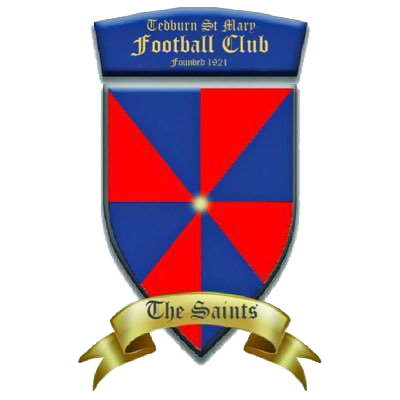 tedburn st mary fc