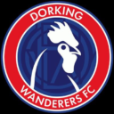 dorking wanderers