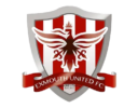 exmouth united fc crest